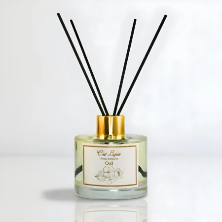 Diffuseur d’ambiance 100 ml